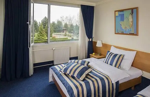 Superior Double room (full double bed)