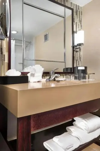 Crowne Plaza Resort Asheville by IHG - Chambres