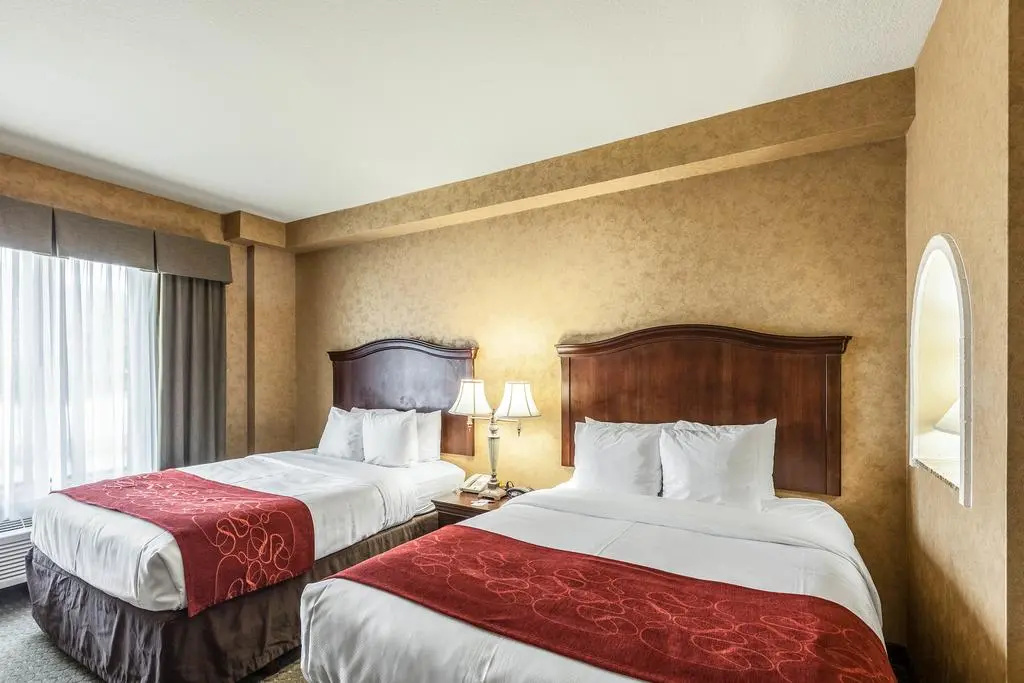 Comfort Suites Alamo - Riverwalk - Chambres