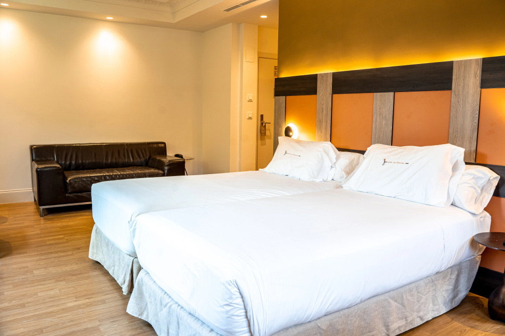 Double Junior Suite (twin beds)