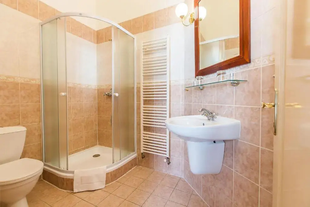 Hotel U Zlateho Jelena - Général