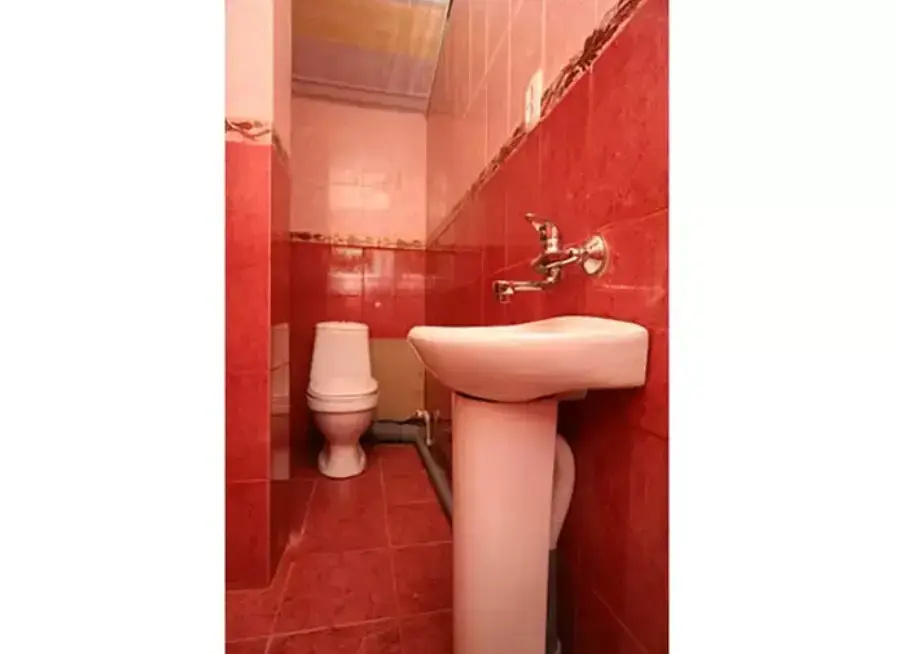 Viktoriya Guest House - фото 16