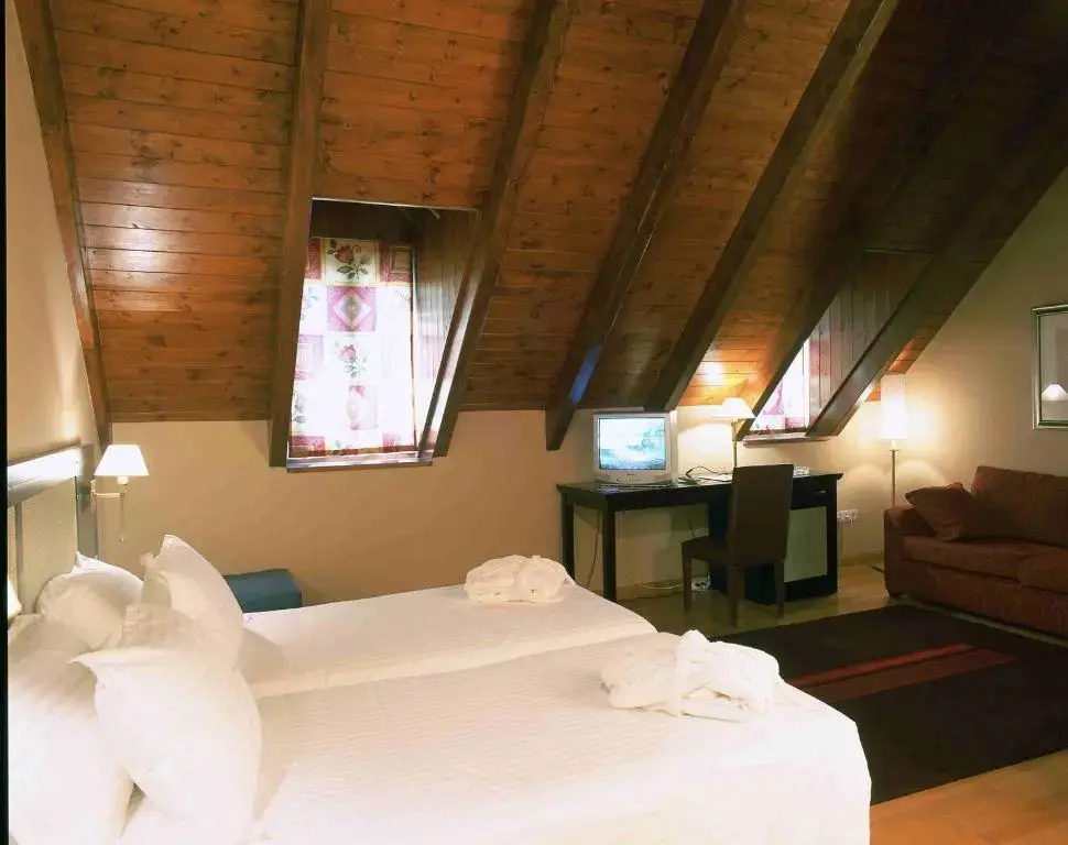 Hotel Acevi Val d'Aran - Général