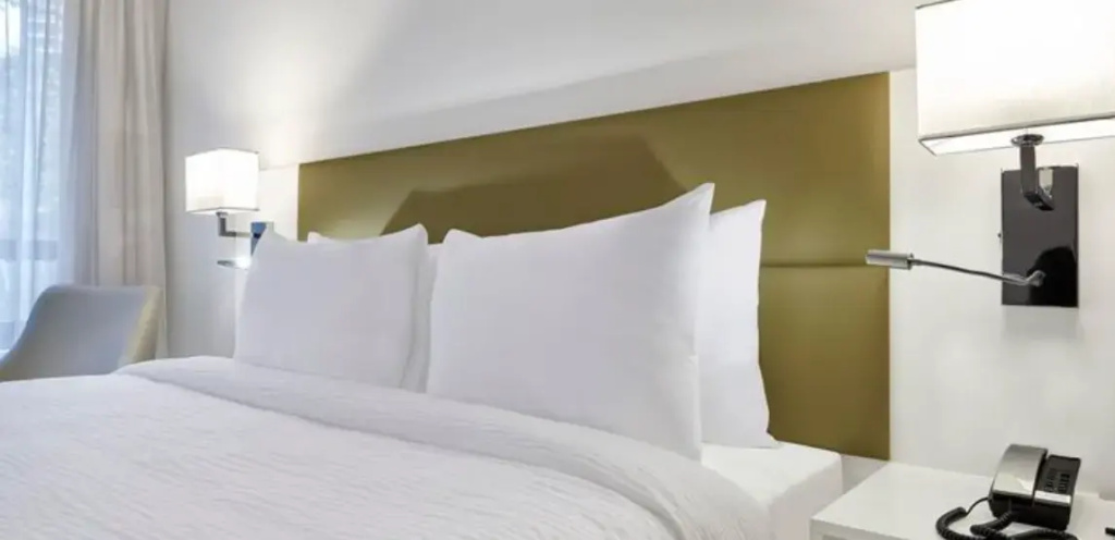 Radisson Barra Rio De Janeiro - Chambres
