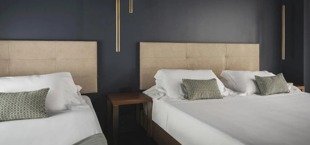 The Regent Boutique Hotel & SPA - PRE OPENING - Chambres