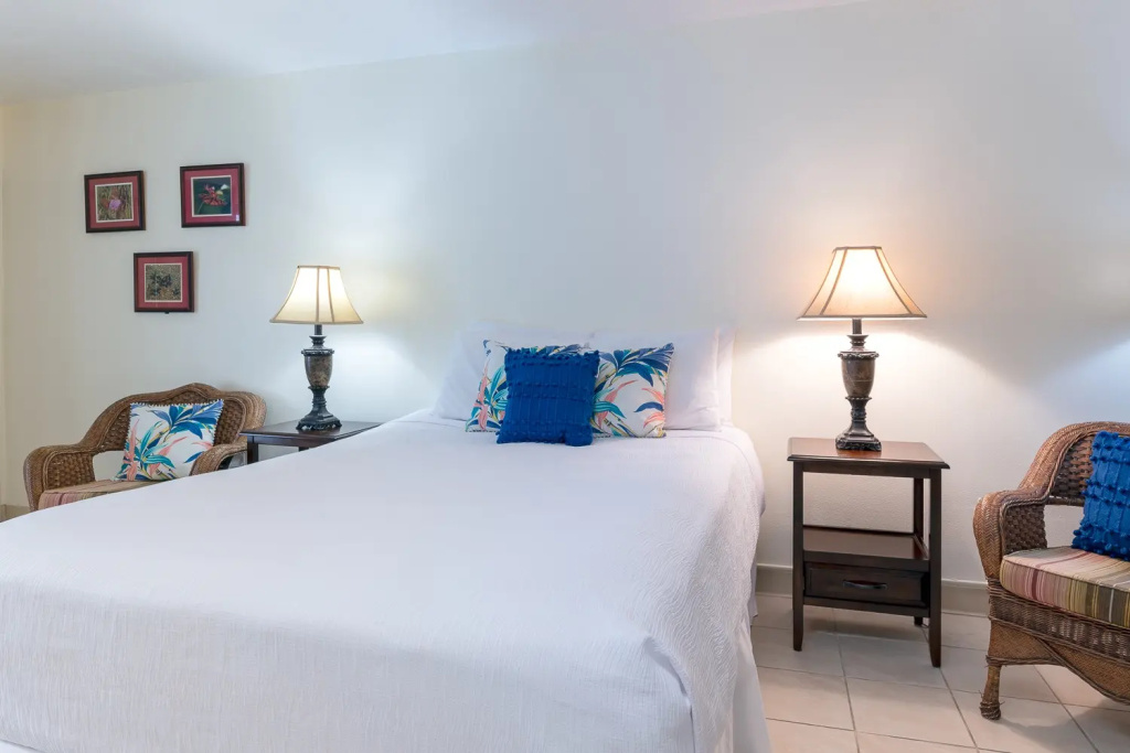 Efficiency (ADA Accessible) Double room (full double bed)