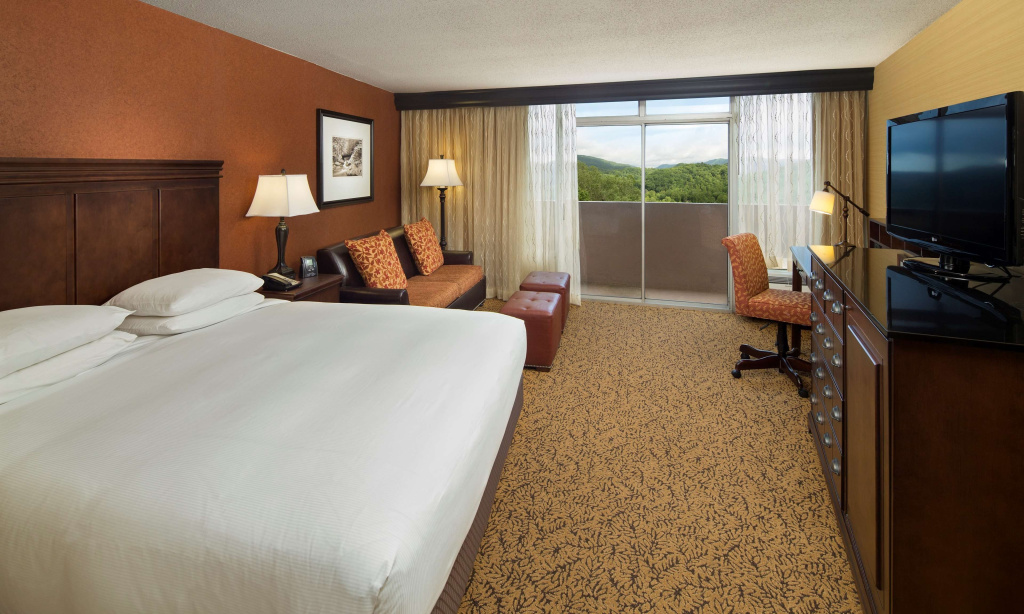 The Park Vista - a DoubleTree by Hilton Hotel - Gatlinburg - Chambres