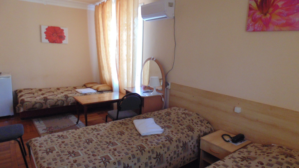 Comfort Double room (twin beds)