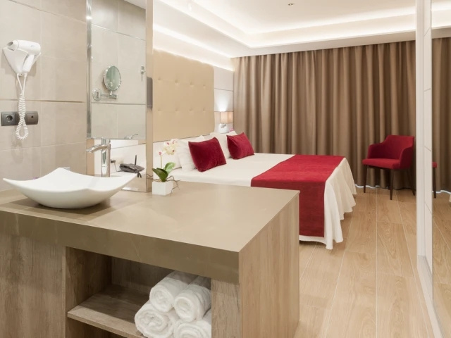 Standard Double room with pool view (full double bed)