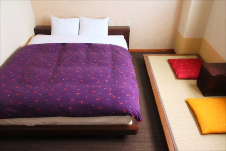 Deluxe Double room (full double bed)