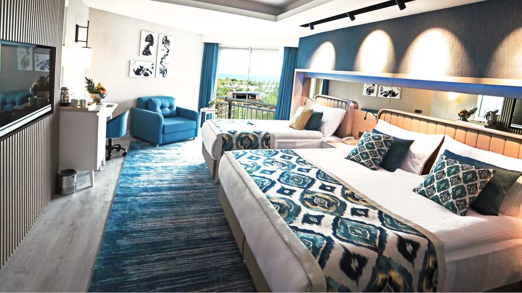 Superior Standard room with land view
