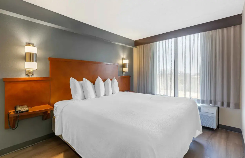 1 Bedroom Suite