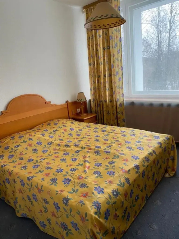 2-rooms Retro Double room (full double bed)