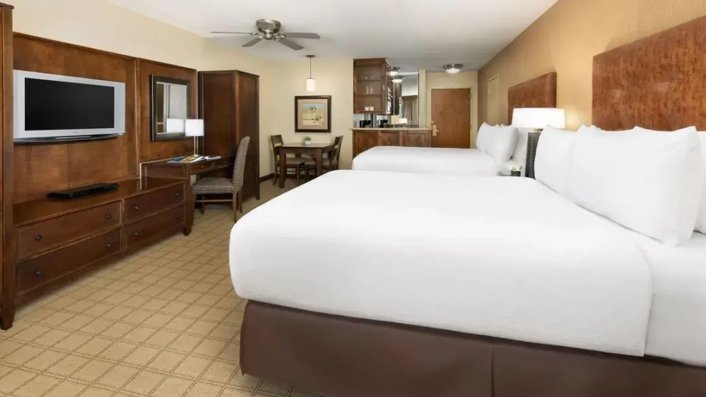 Elevation Hotel & Spa Room Type - Valley View King Room