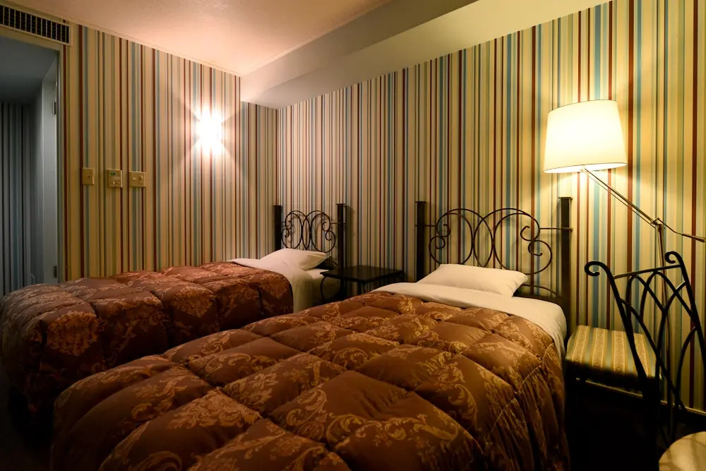 Standard Double room (twin beds)