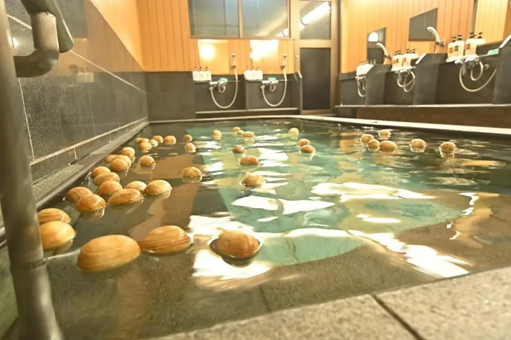 Kyoto Watazen Ryokan Hotel - Général
