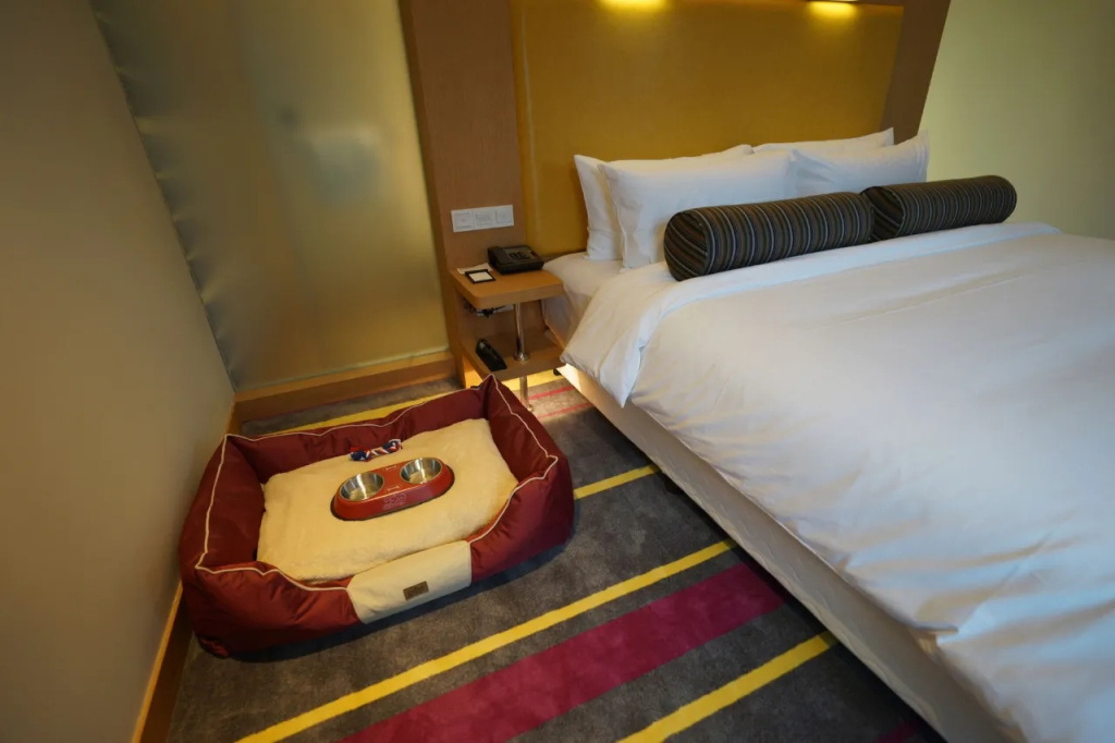 Hufeng Music Nest Suite