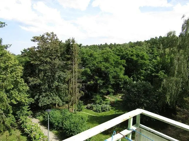 Sopot mieszkanie