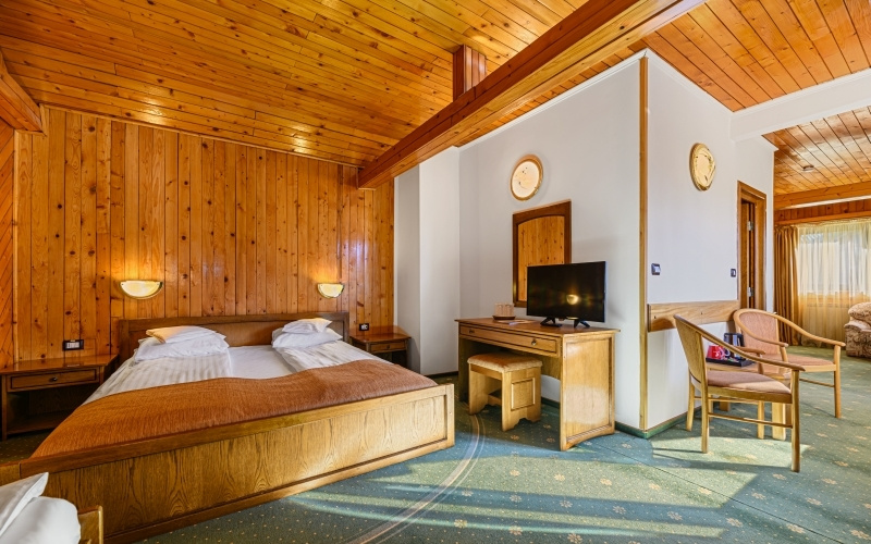 Hotel Casa Viorel - Chambres