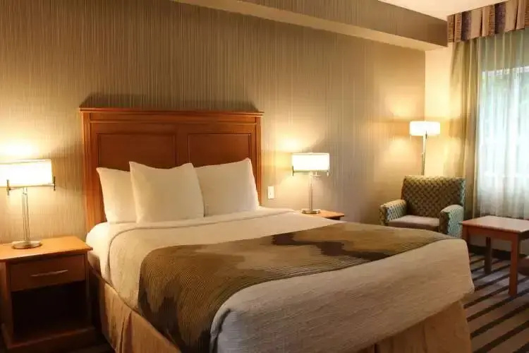 Kitchen Double Suite (full double bed)