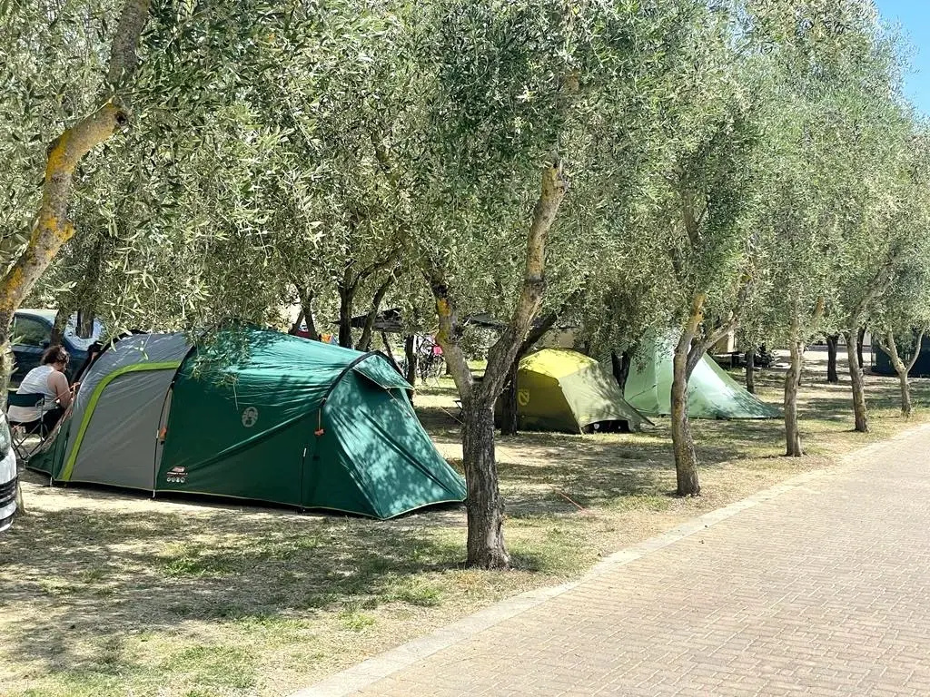 Easy Hu Camp Pitch