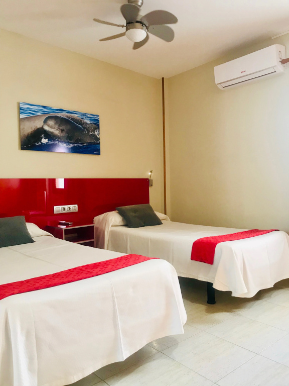 Terrace Apartment