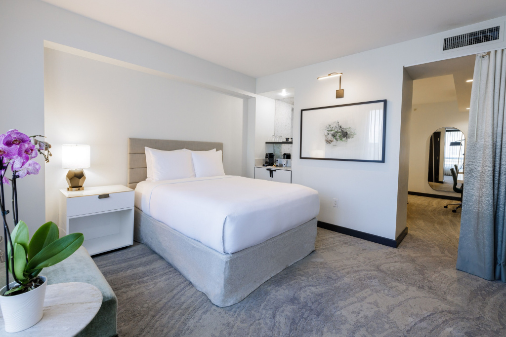 1 Bedroom Deluxe Double Junior Suite with view (full double bed)