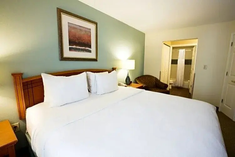 Staybridge Suites Houston West / Energy Corridor by IHG - Chambres