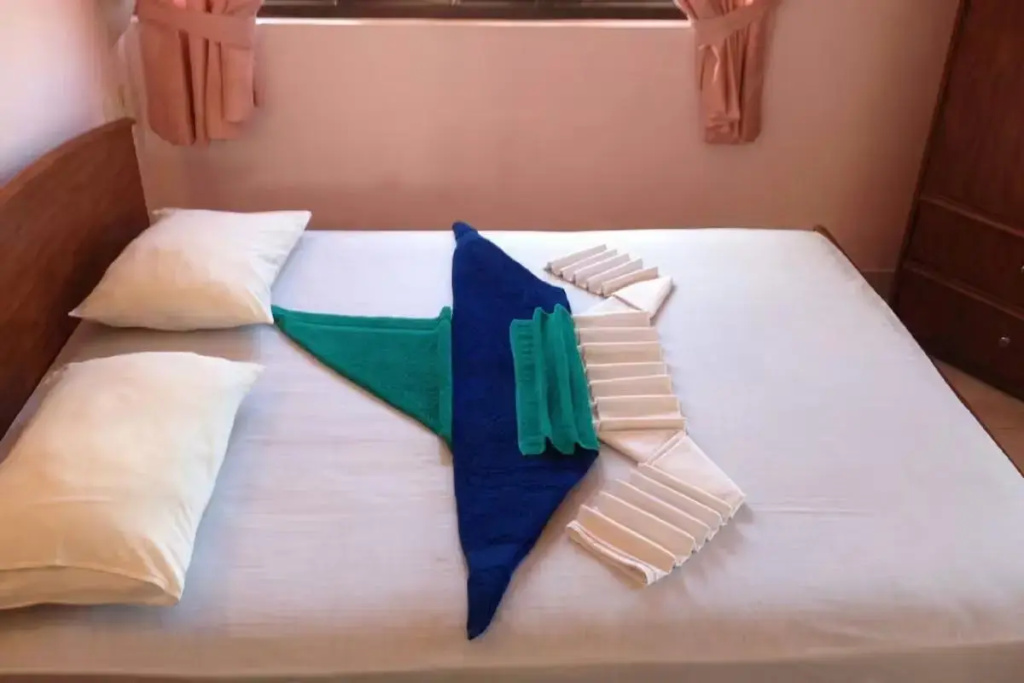 Standard (Non AC) Double room (full double bed)