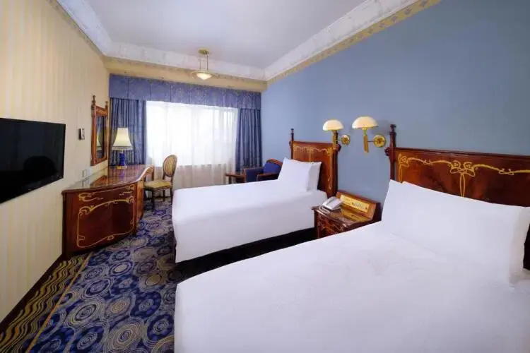 Standard Double room with city view (twin beds)