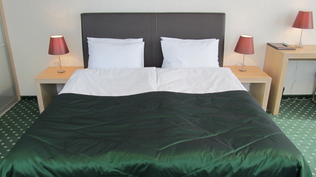 Двухместная студия двуспальная кровать в Green City Hotel