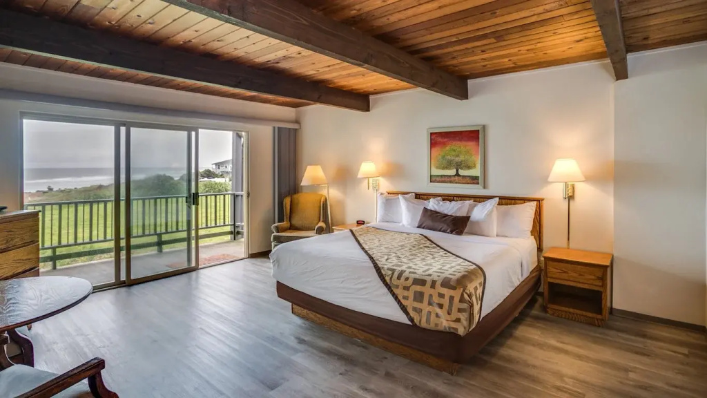 Pet Friendly Double room with balcony and with ocean view (full double bed)