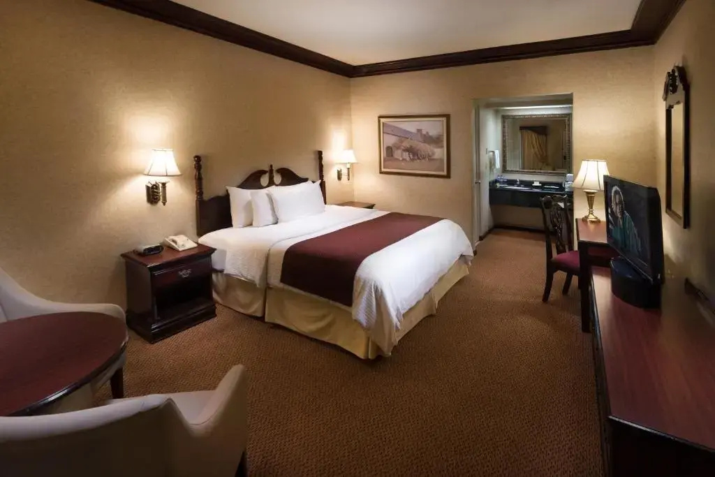 Safi Royal Luxury Centro - Chambres