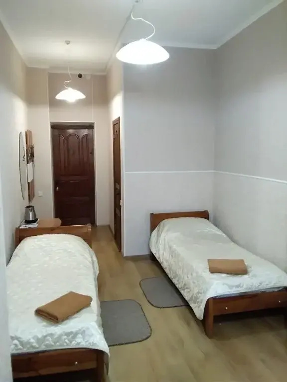 Budget Double room (twin beds)