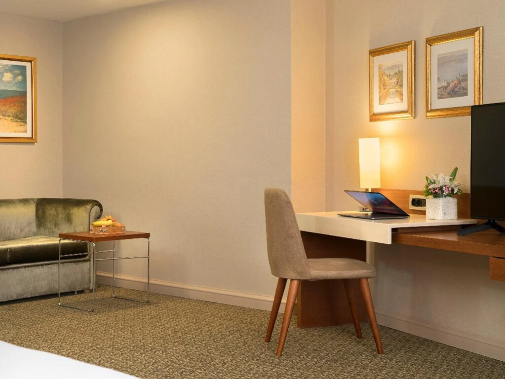 BH Conference & Airport Hotel Istanbul - Chambres