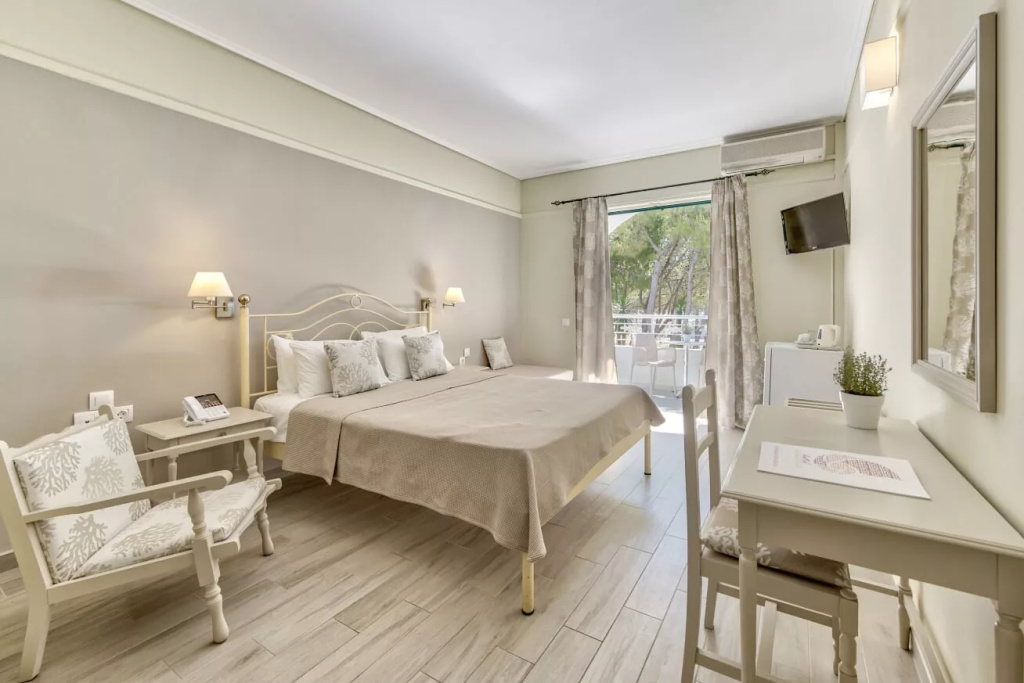 Standard Plus Double room (full double bed)