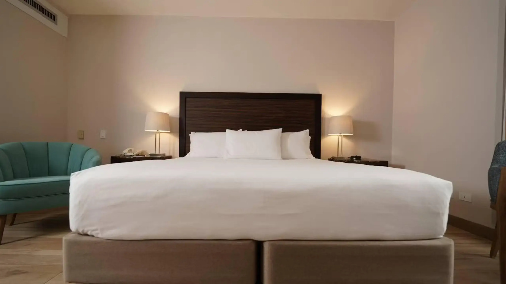 Hotel Morrison Zona Rosa - Chambres