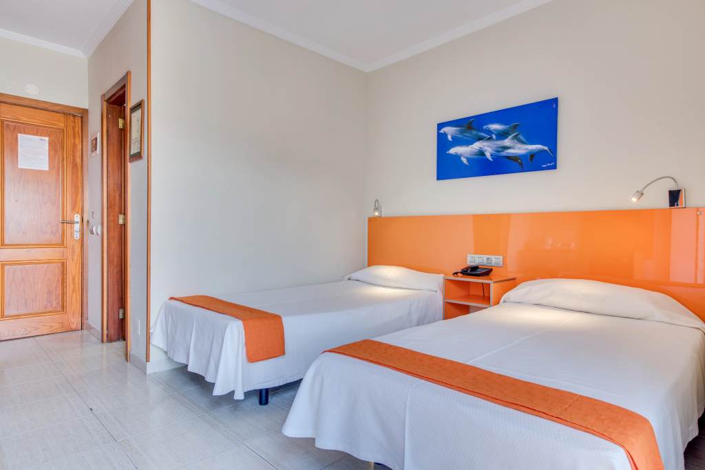 Terrace Double room (twin beds)