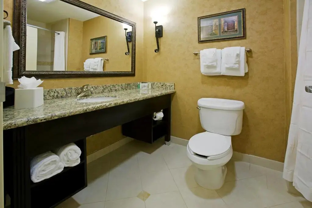Comfort Suites Alamo - Riverwalk - Chambres