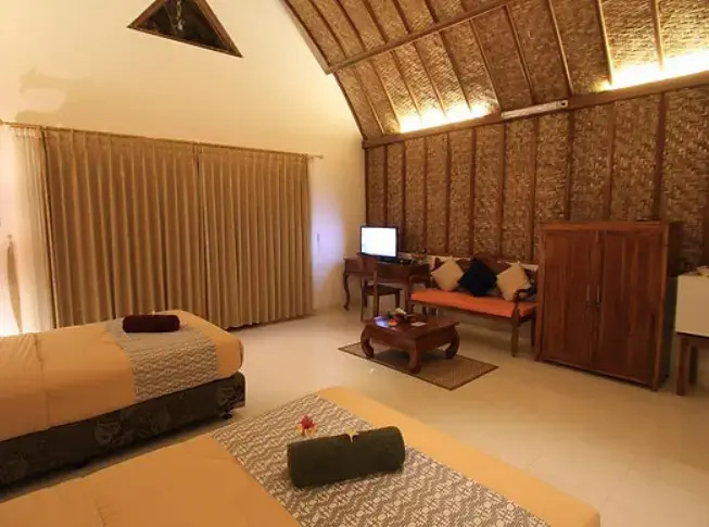Deluxe Double room (twin beds)