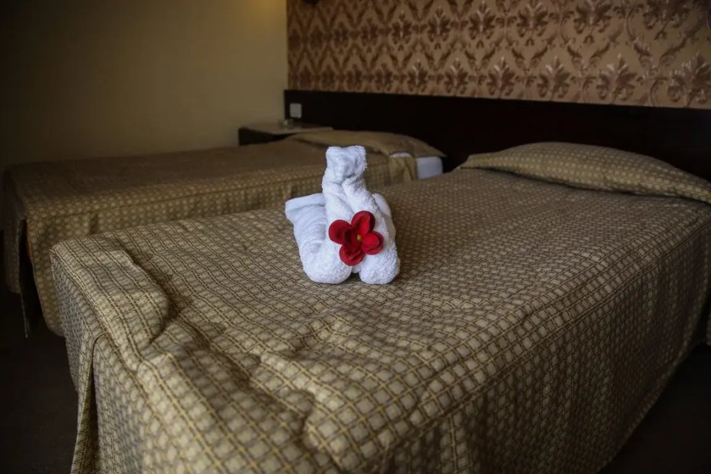 Standard Double room (full double bed)