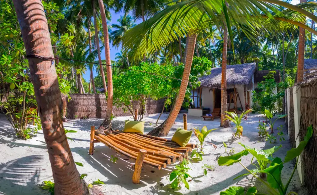 Yash Nature Resort - Chambres
