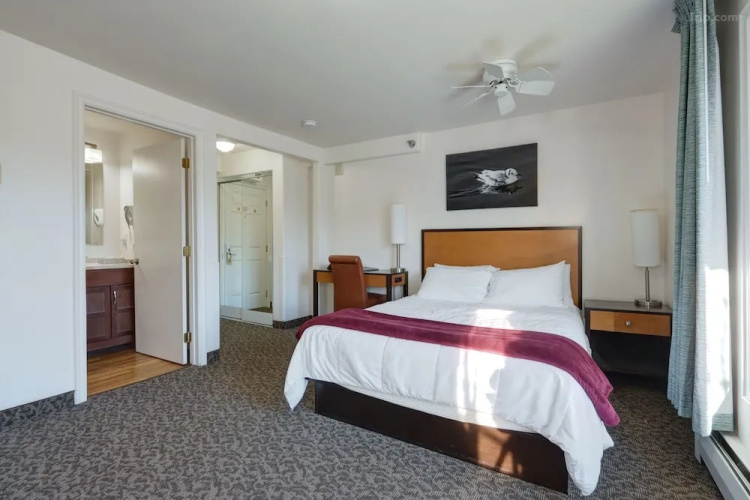 Annex Quadruple Suite