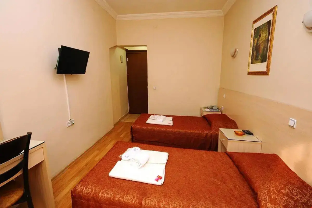 Standard Double room (twin beds)