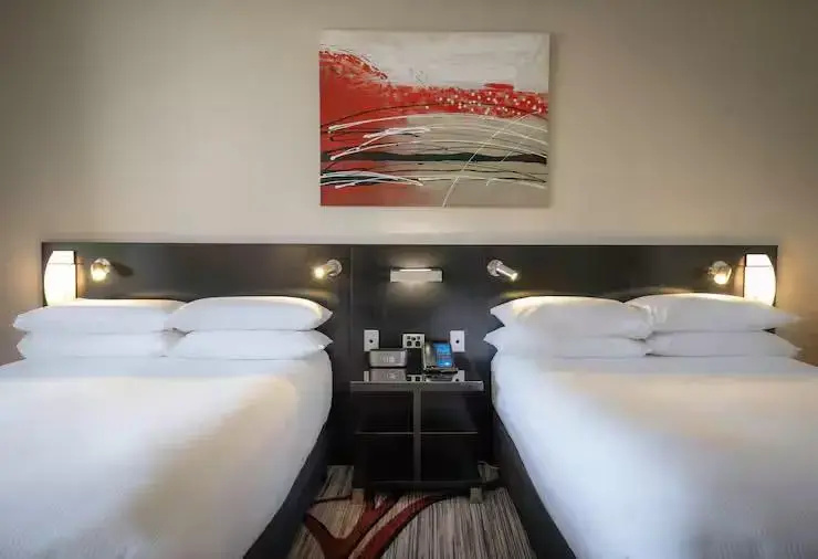 Hilton Cairns - Chambres