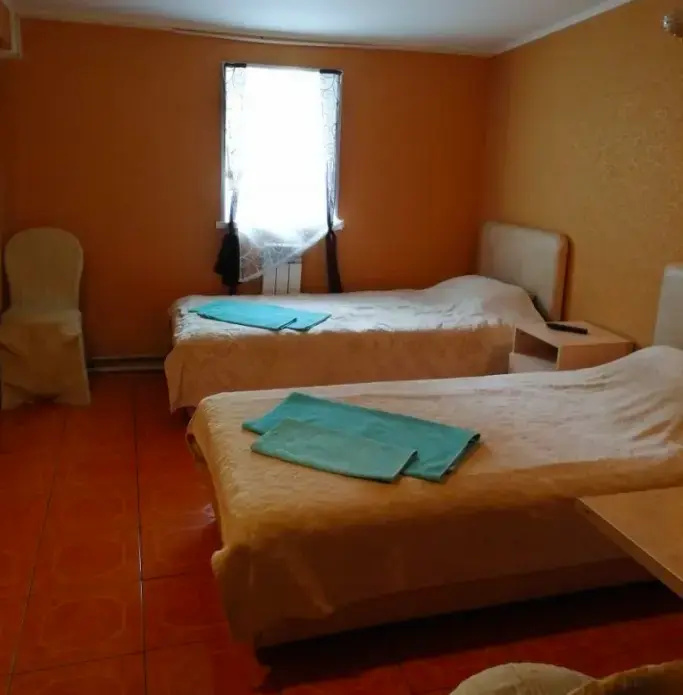 Economy Double room (twin beds)