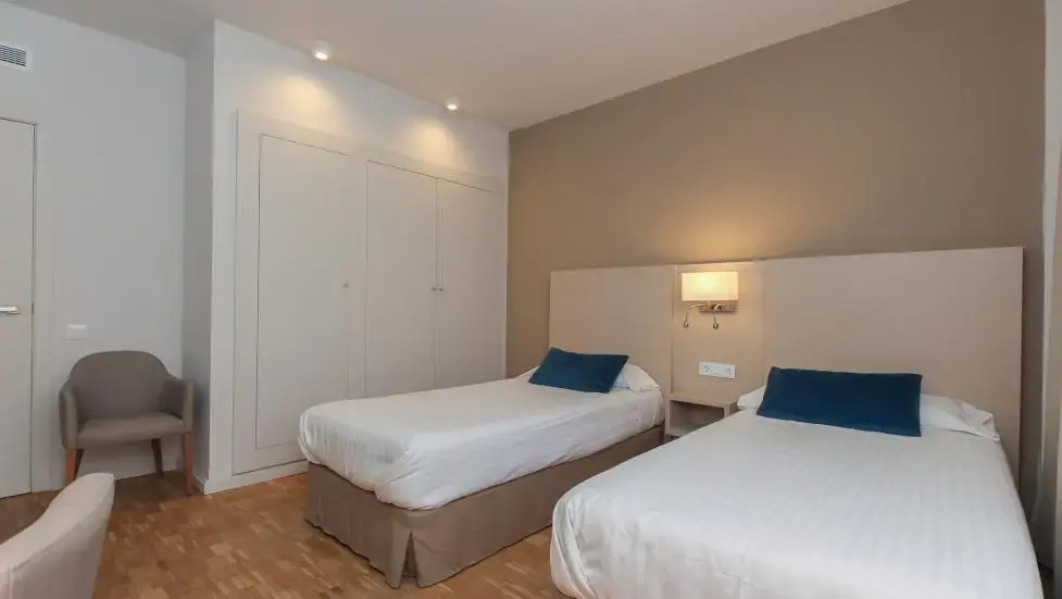 Deluxe Double room (twin beds)