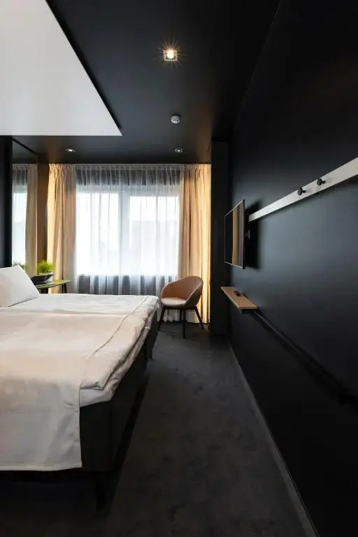 Art Hotel Pallas  - Général