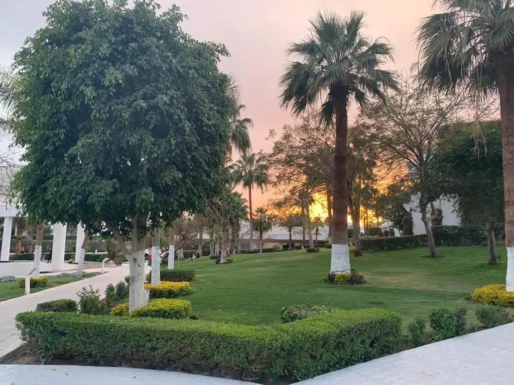 Monte Carlo Sharm Resort & Spa Hotel - Chambres