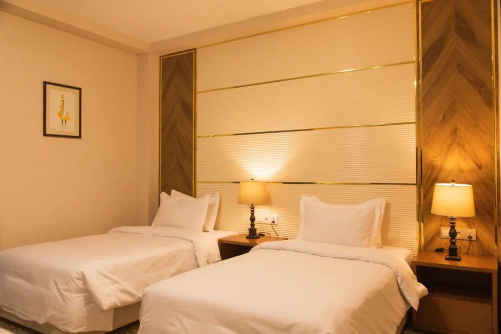 Deluxe Double room with balcony and with mountain view (twin beds)